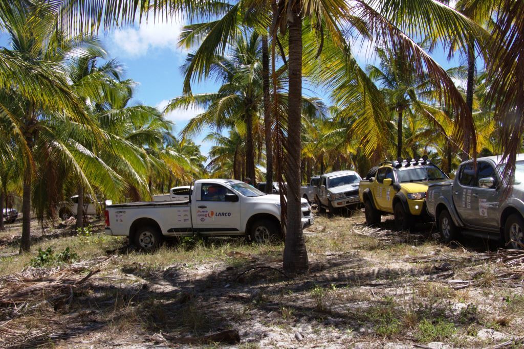 CHEGADA NO ESPAÇO PLUS.jpg