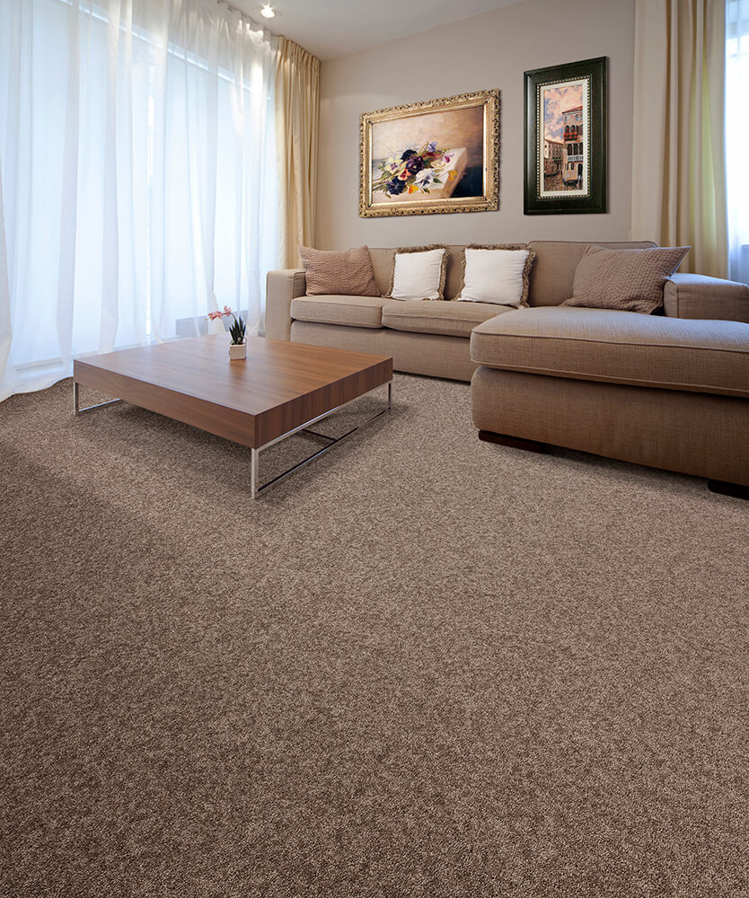 0 imagem principal 2.jpg