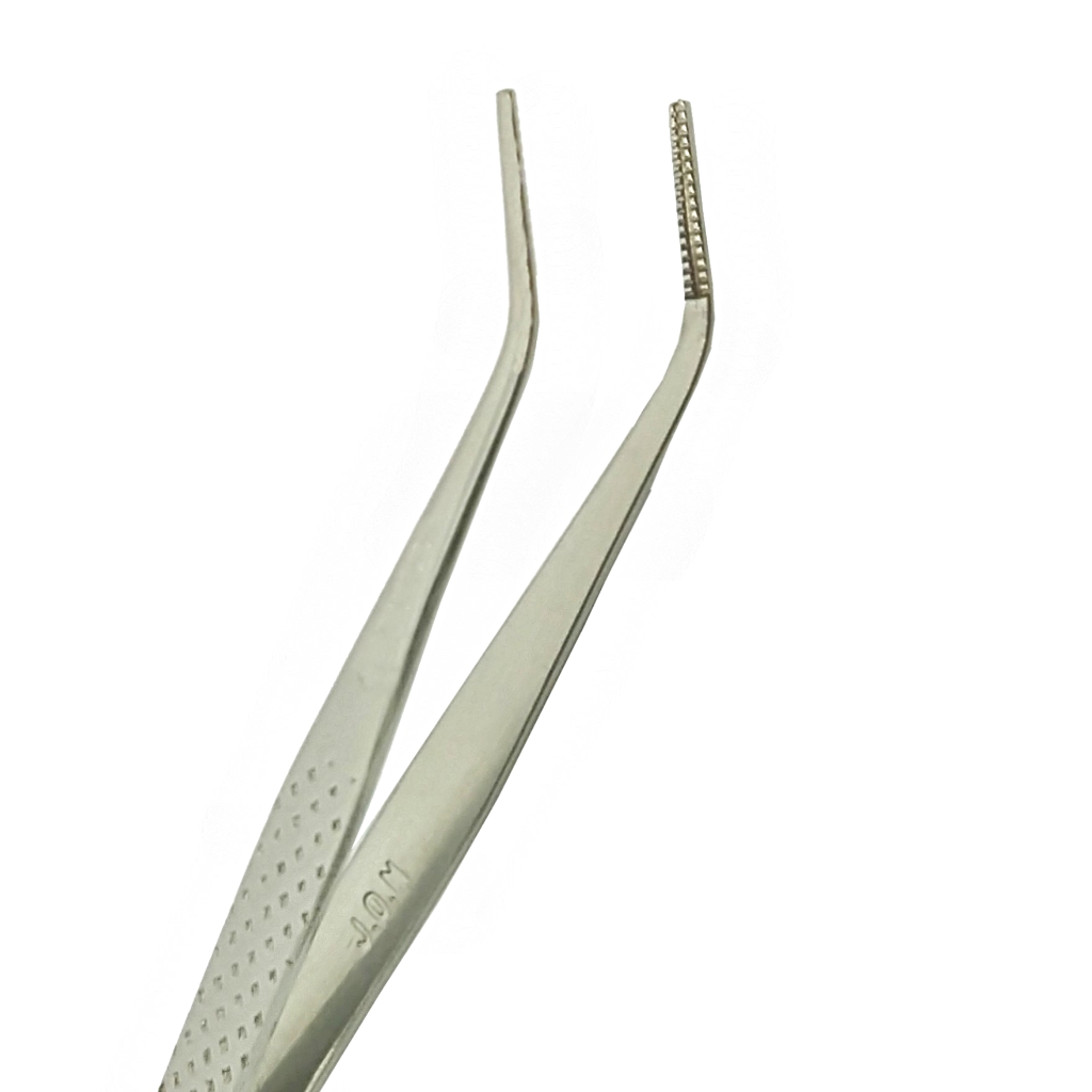 Pinca Perry infantil JON -.jpg