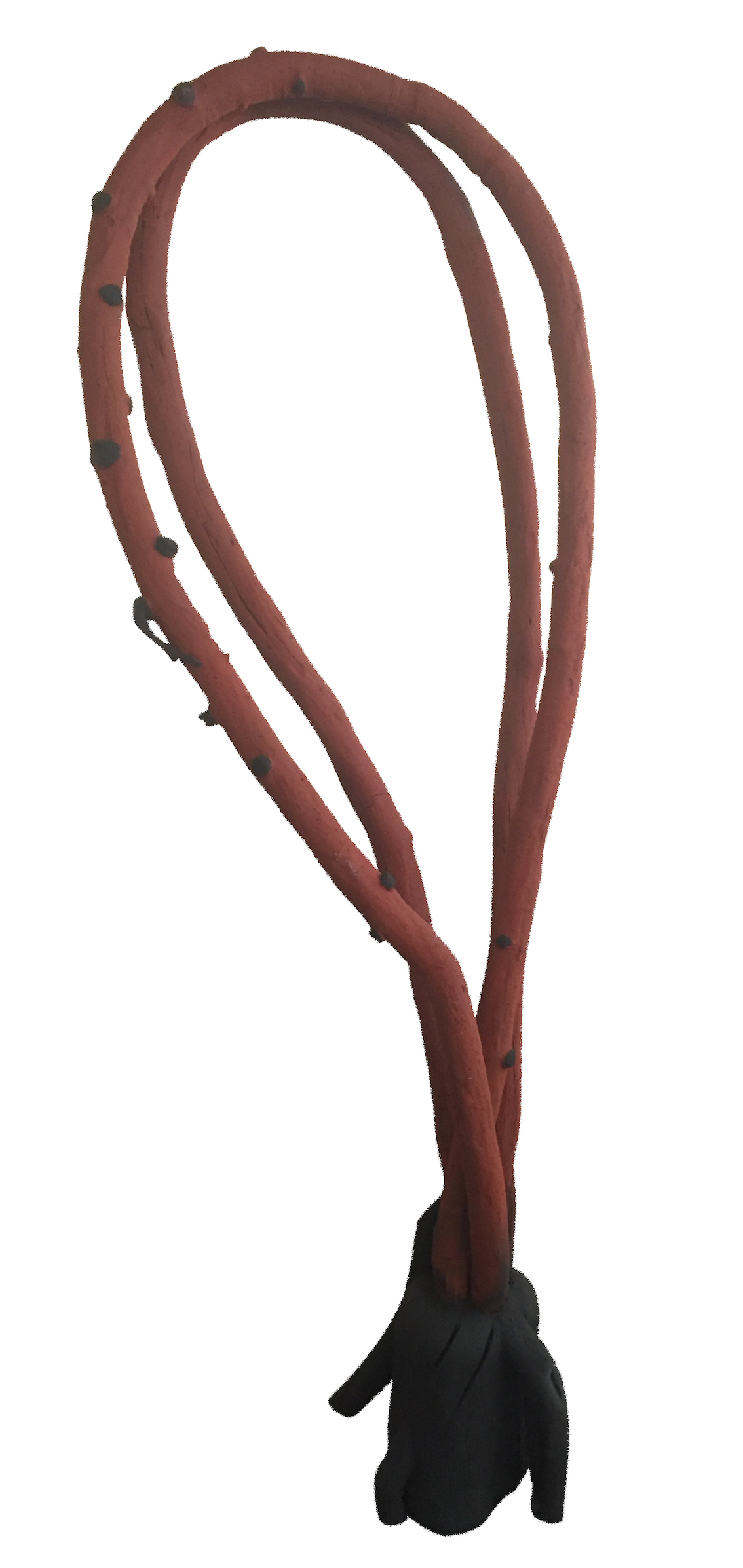 Frans Krajcberg Escultura em madeira 260x90x70.jpg