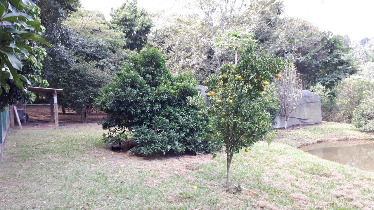 WhatsApp Image 2018-04-23 at 14.43.57.jpeg