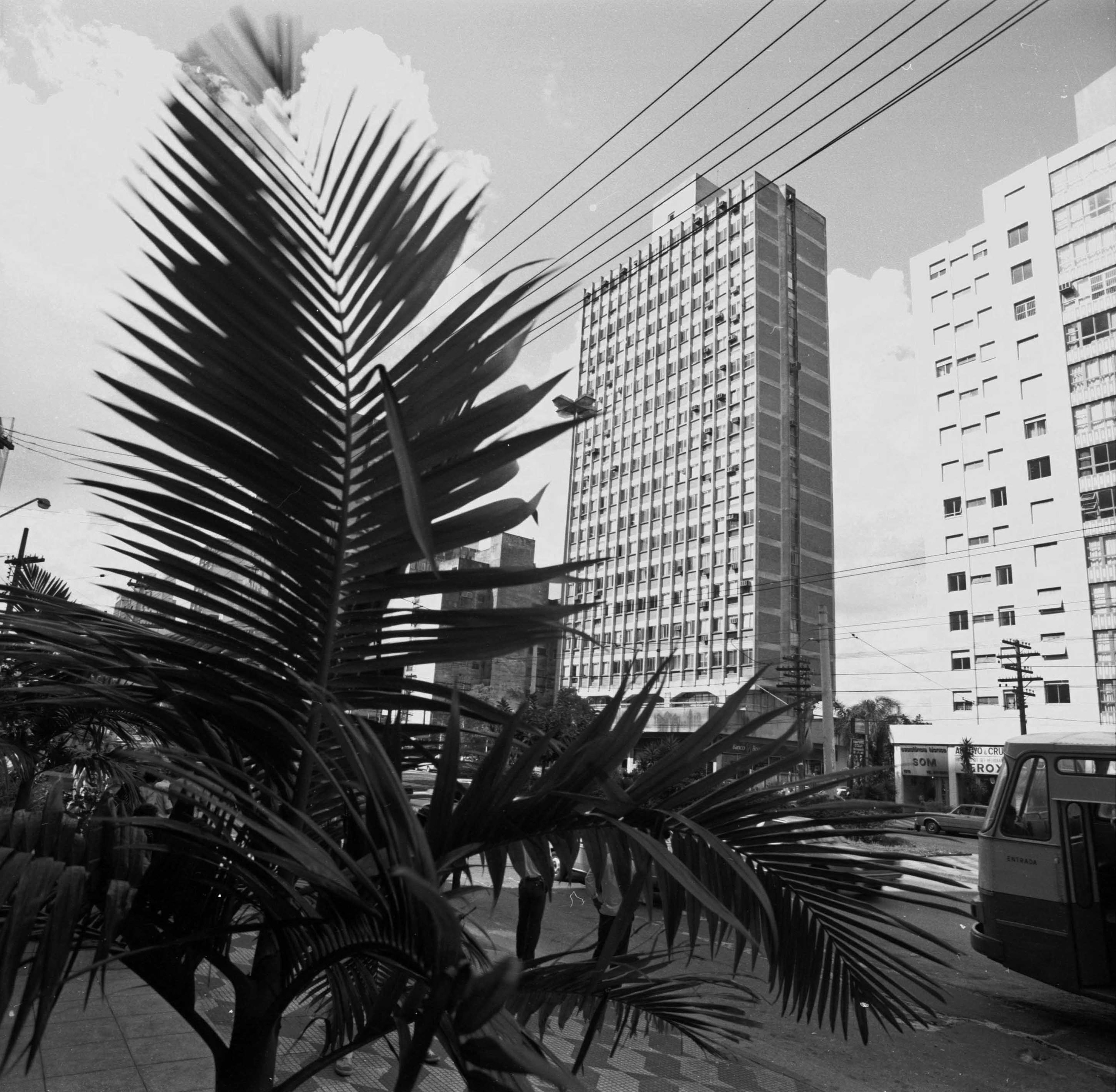 Ed. Regent's Park 2.3.jpg