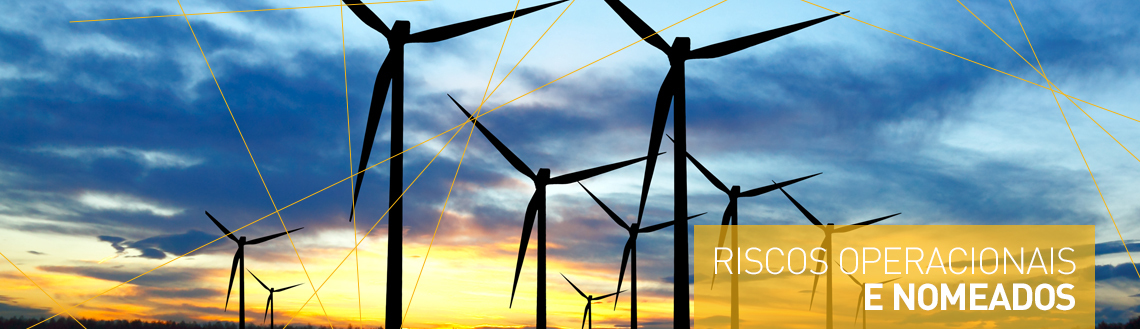 Riscos Operacionais Fator