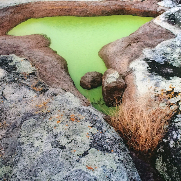 Orlando Azevedo 100x100 Fotografia.jpg