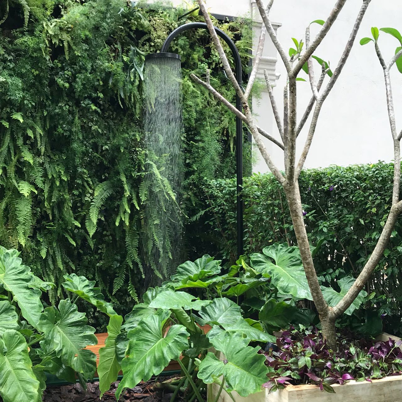 DUCHA DE COLUNA COM CORRENTE SD 2X2 (5).jpg