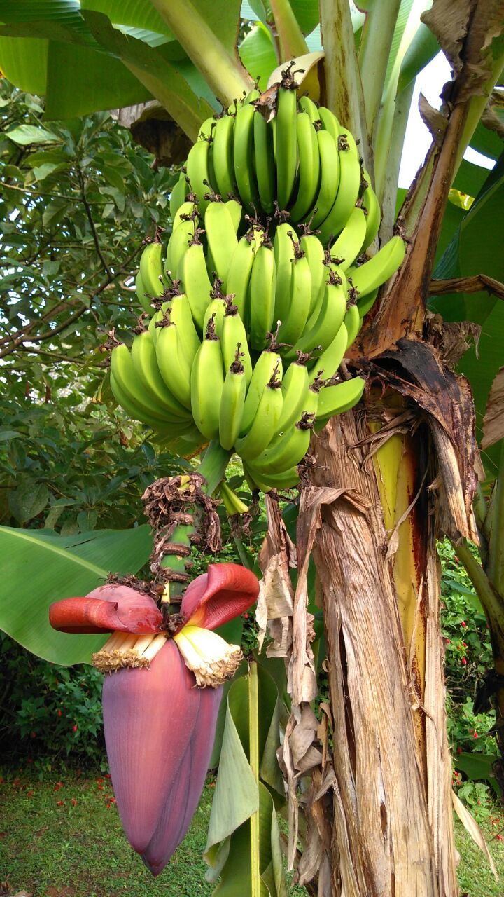 clínica de tratamento drogas e álcool.jpg