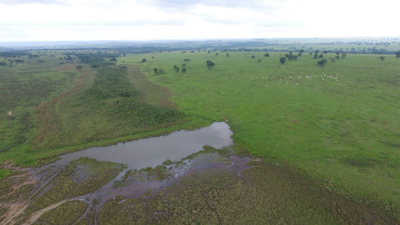 WhatsApp Image 2017-03-21 at 16.14.57.jpeg