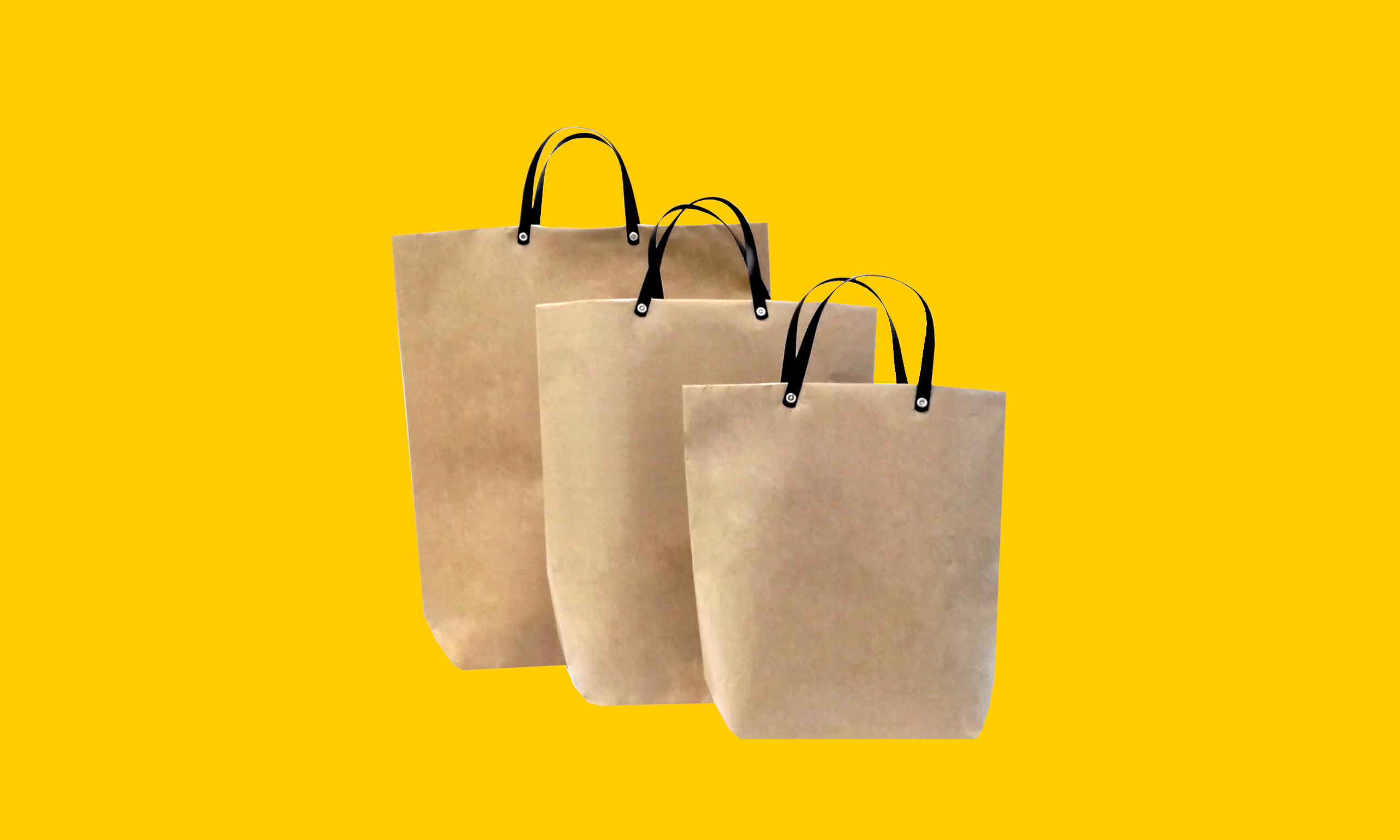 Conjunto Bolsa Reforçada com Alça Plástica Kraft.jpg