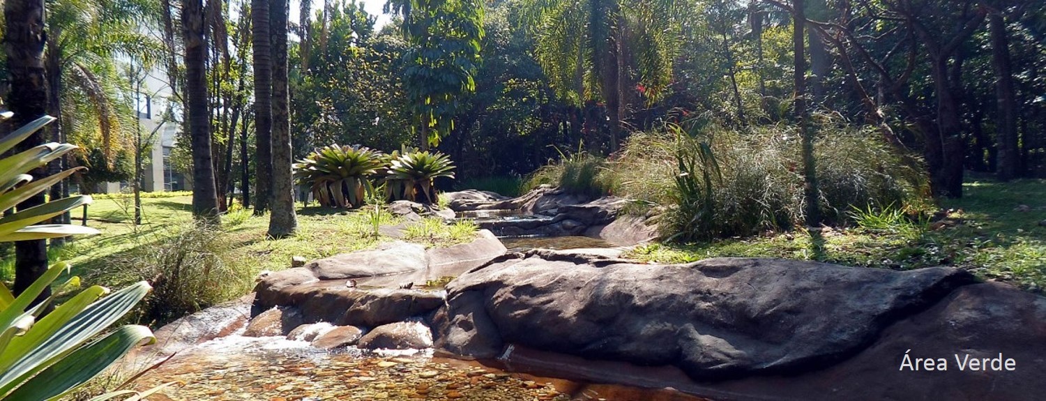 Área Verde.jpg
