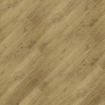 9329726 - Hortelã.jpg