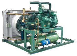 LH Duplo Estagio.jpg