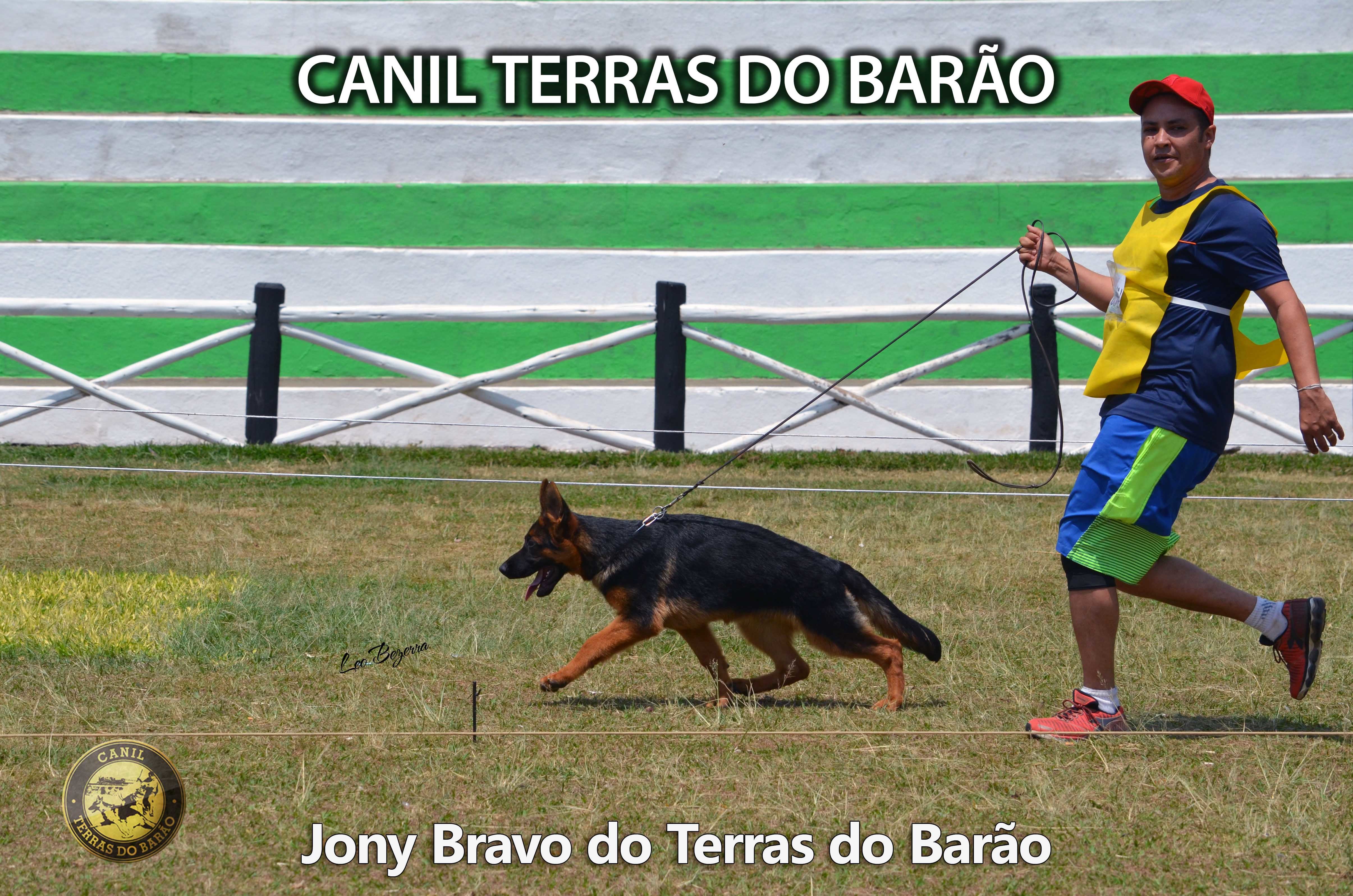 Jony Sudeste CBPA 2017 - 2.jpg