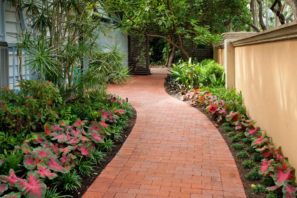 Modern-plants-for-landscaping-australia-landscape-midcentury-with-curved-path-water-wise-florida-landscape.jpg
