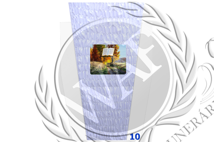 Edredon 10 Marca.png