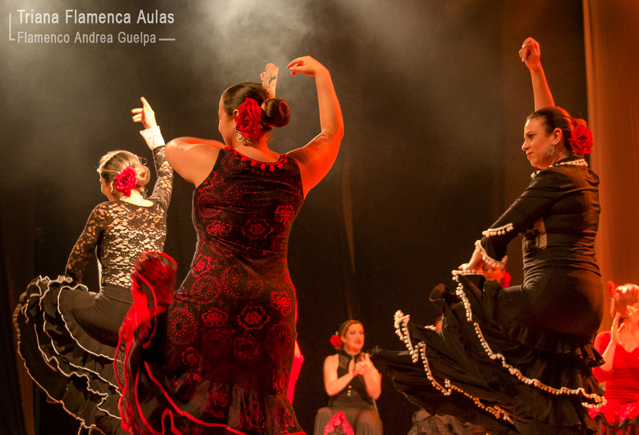 aulas-de-dança-flamenca-em-sao-paulo-pinheiros-lapa-leopoldina-madalena.jpg