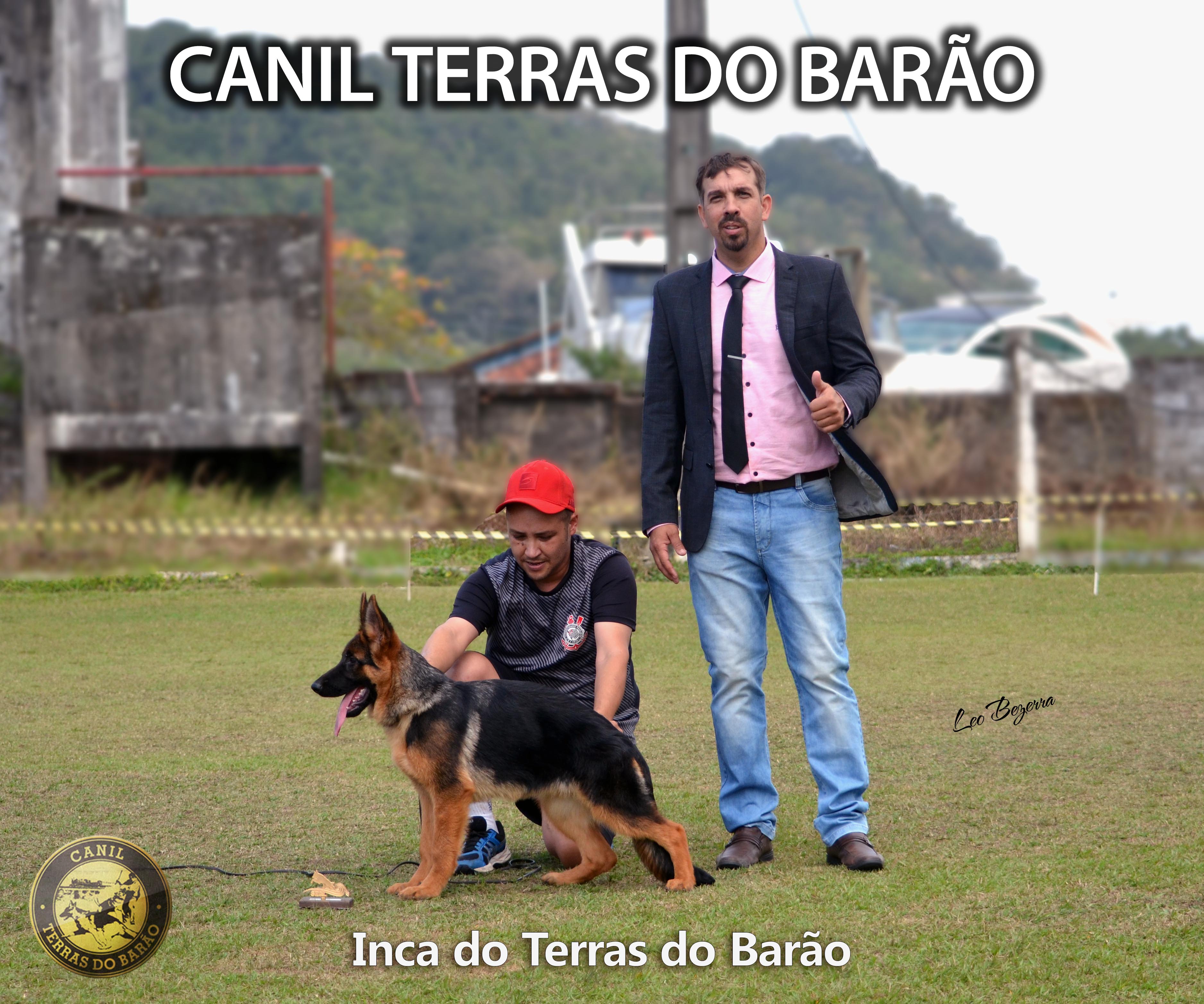 Inca do Terras do Barão 2.jpg