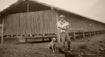 sorocamirim visto de cima.jpg