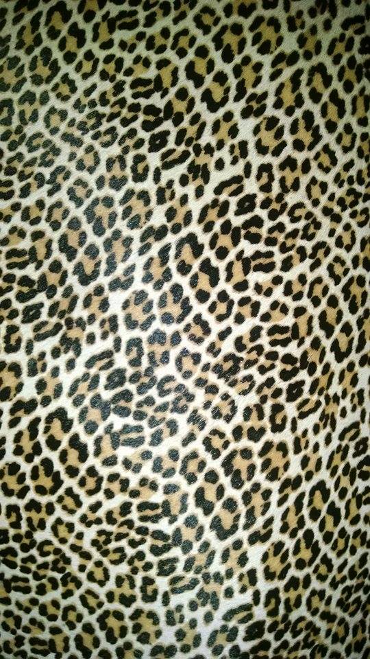 12895394_1351166978232625_272456082_n (2).jpg