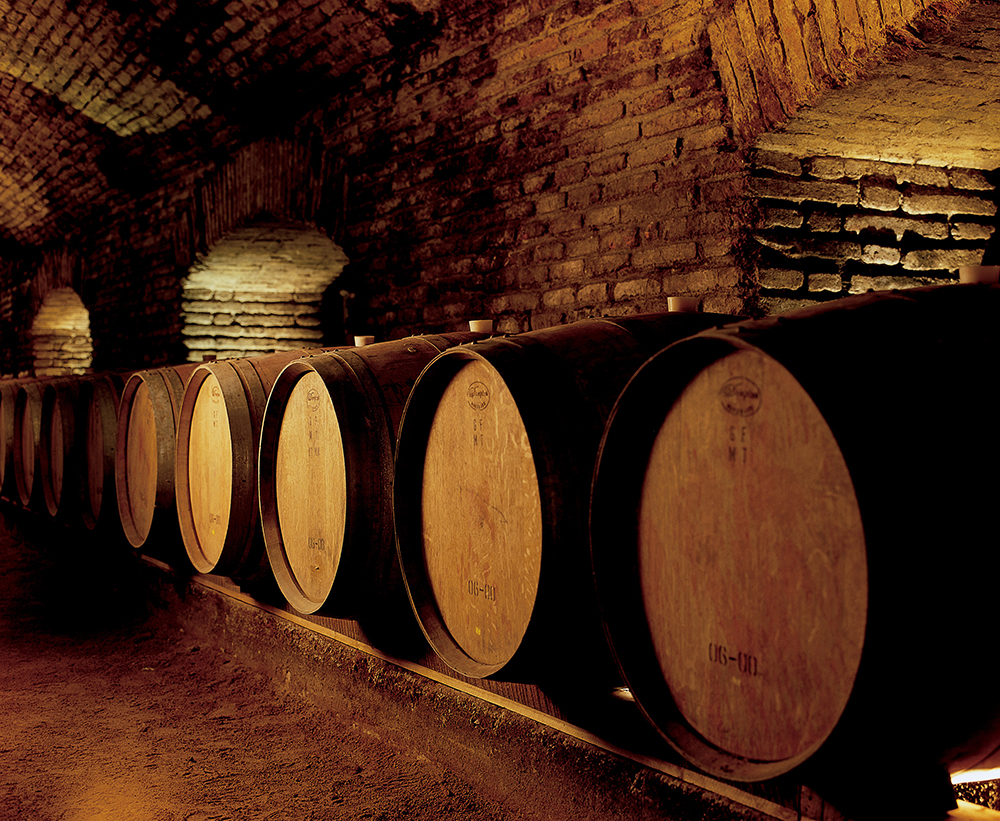 Bodega-PIRQUE-03.jpg