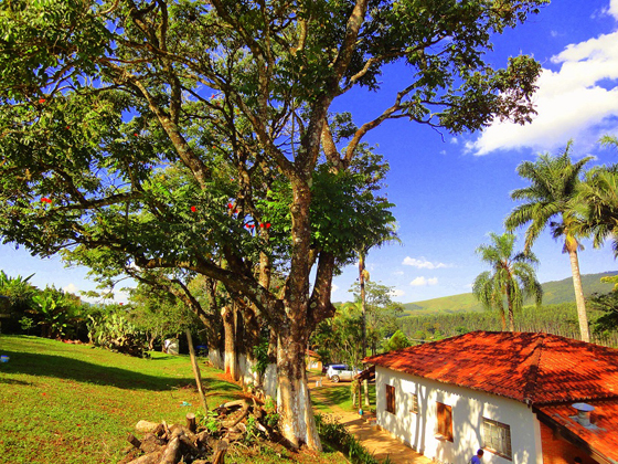 Clinica de recuperação de dependente químico em Atibaia.