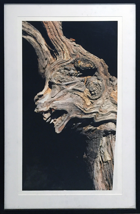 Claude Mollard Fotografia 2008 101x66 Antiparos.jpg