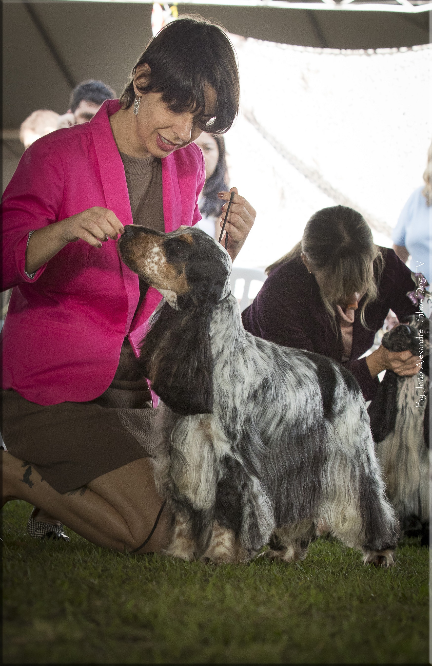 IMG_7816 copiarb.jpg