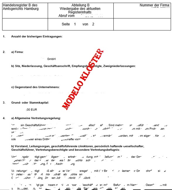 registro comercial.jpg