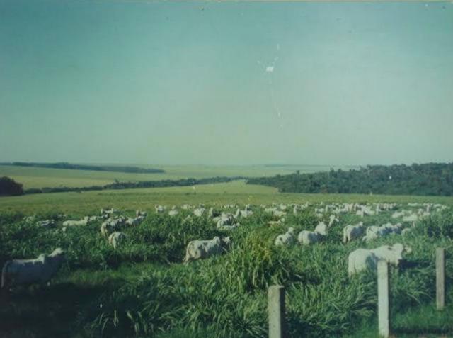 224528024599076 (1).jpg