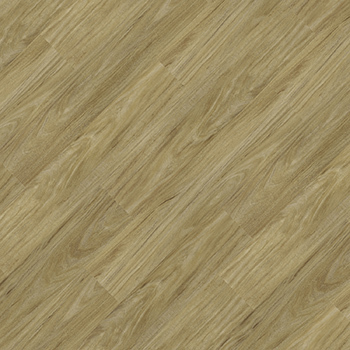 Essence Liso - 9346660 Âmbar.jpg