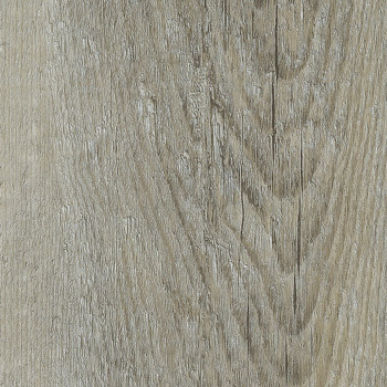 24037954 - Íris.jpg