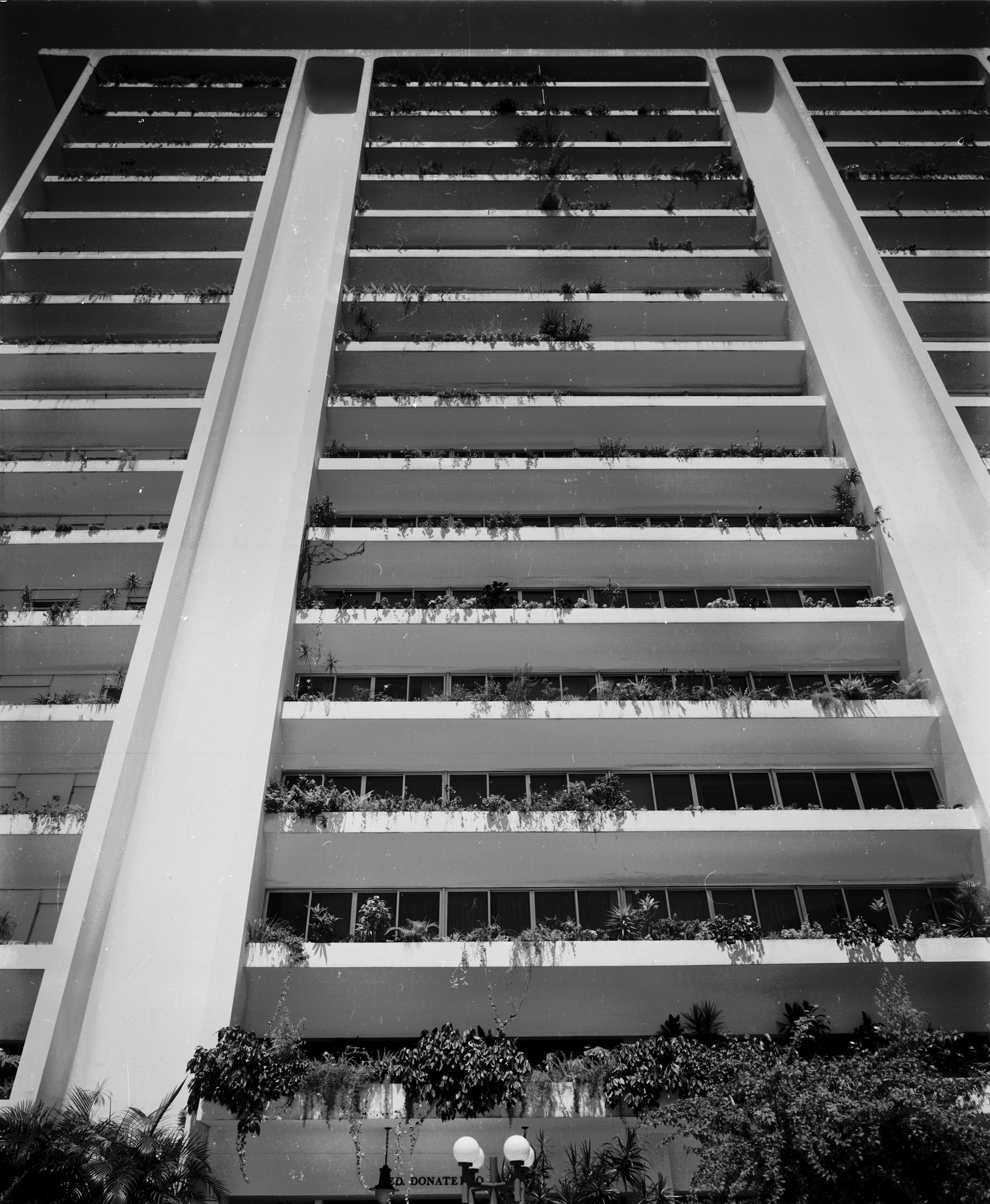 Ed. Donatello 3.1.jpg