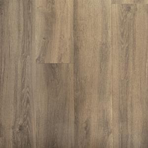 Strata - 204 K210419 Loup.jpg