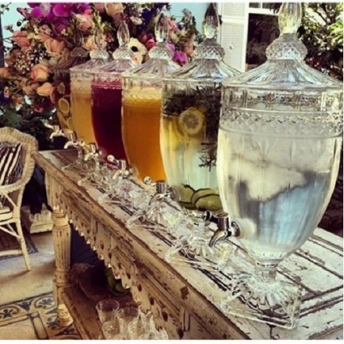 suqueiras-wolf-500x500 - Cópia.jpg