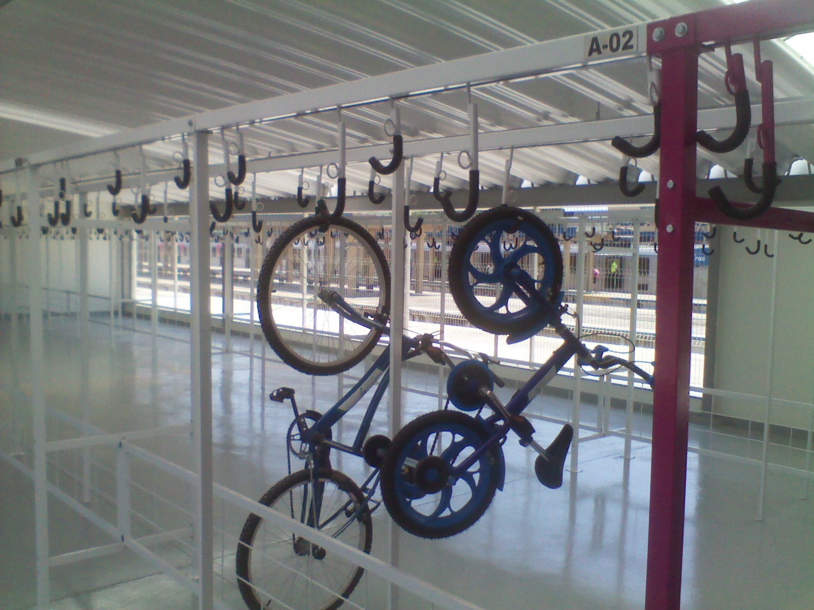 T3D S VIA FOTO BOA.jpg