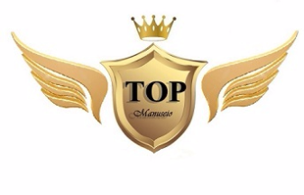 Logo top Nfpaulistana.jpg