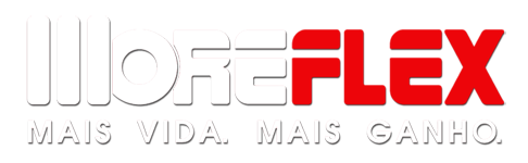 Logo Moreflex