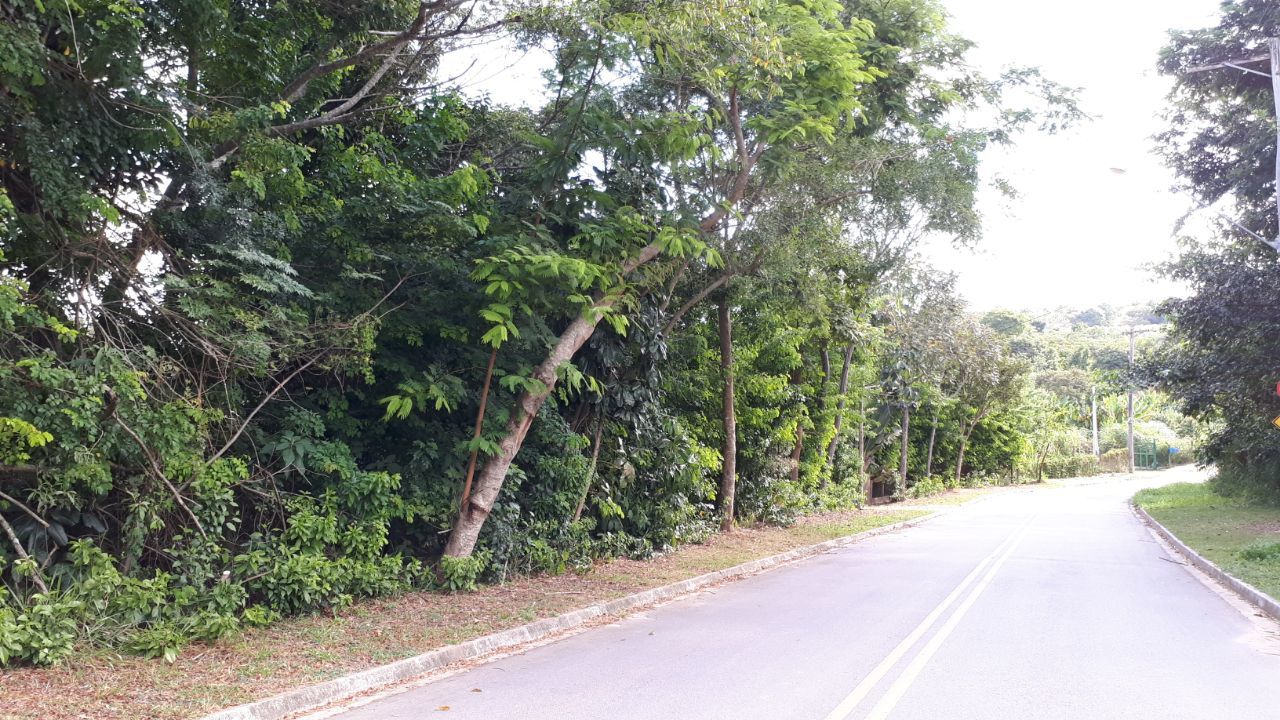 WhatsApp Image 2018-04-23 at 14.43.52.jpeg