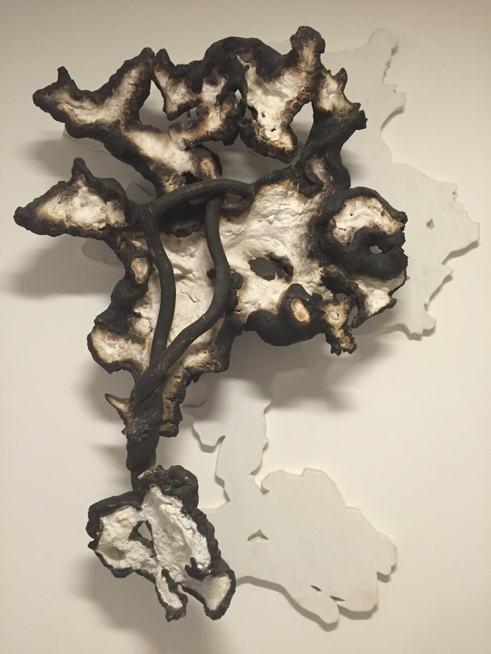 Frans Krajcberg "Sombra" 155x110x37.JPG