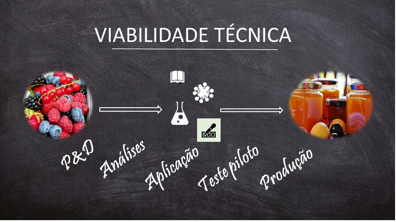viabilidade tecnica .jpg