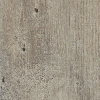 24037717 - Lótus.jpg