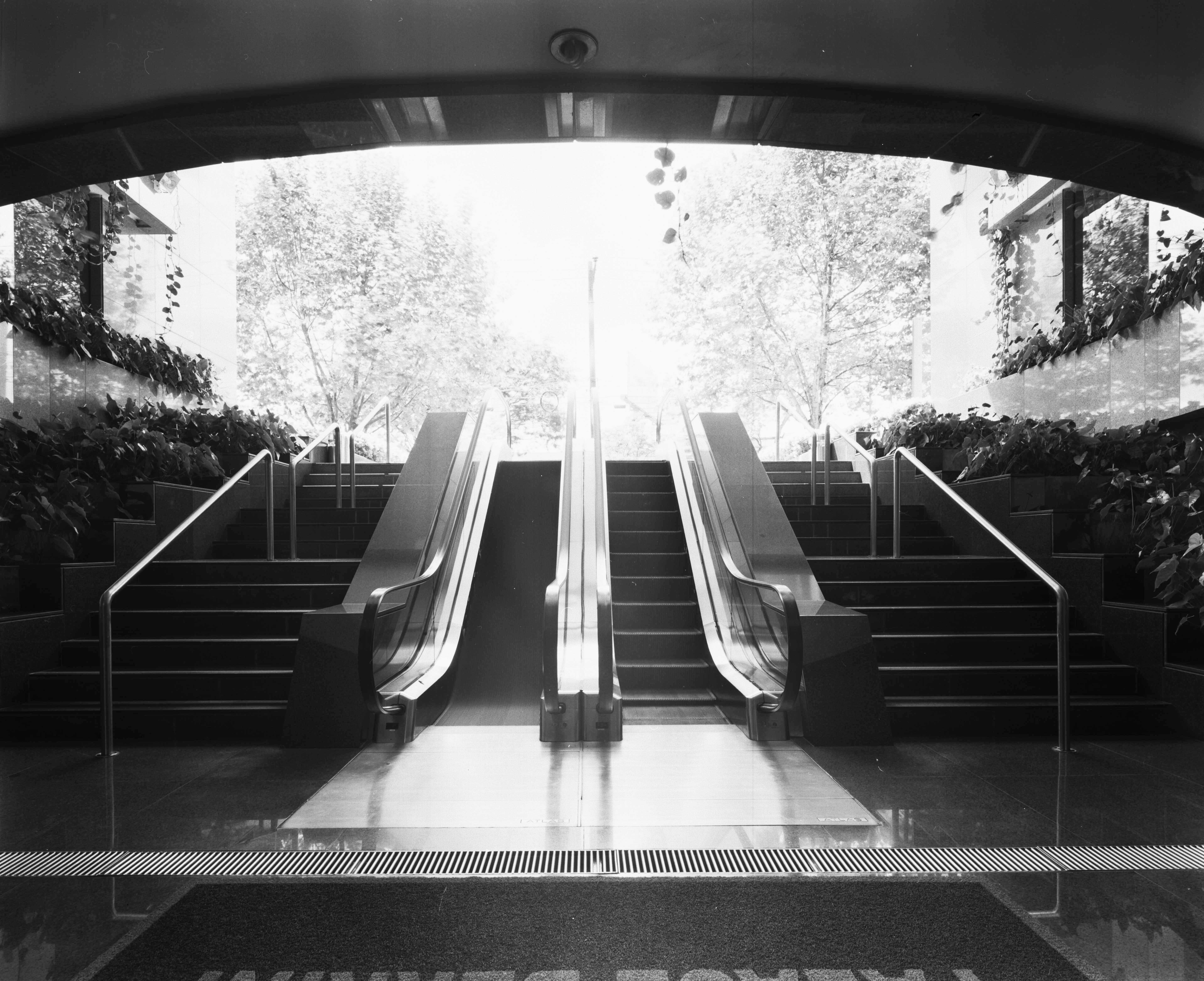 Ed. Palace Berrini 6.8.jpg