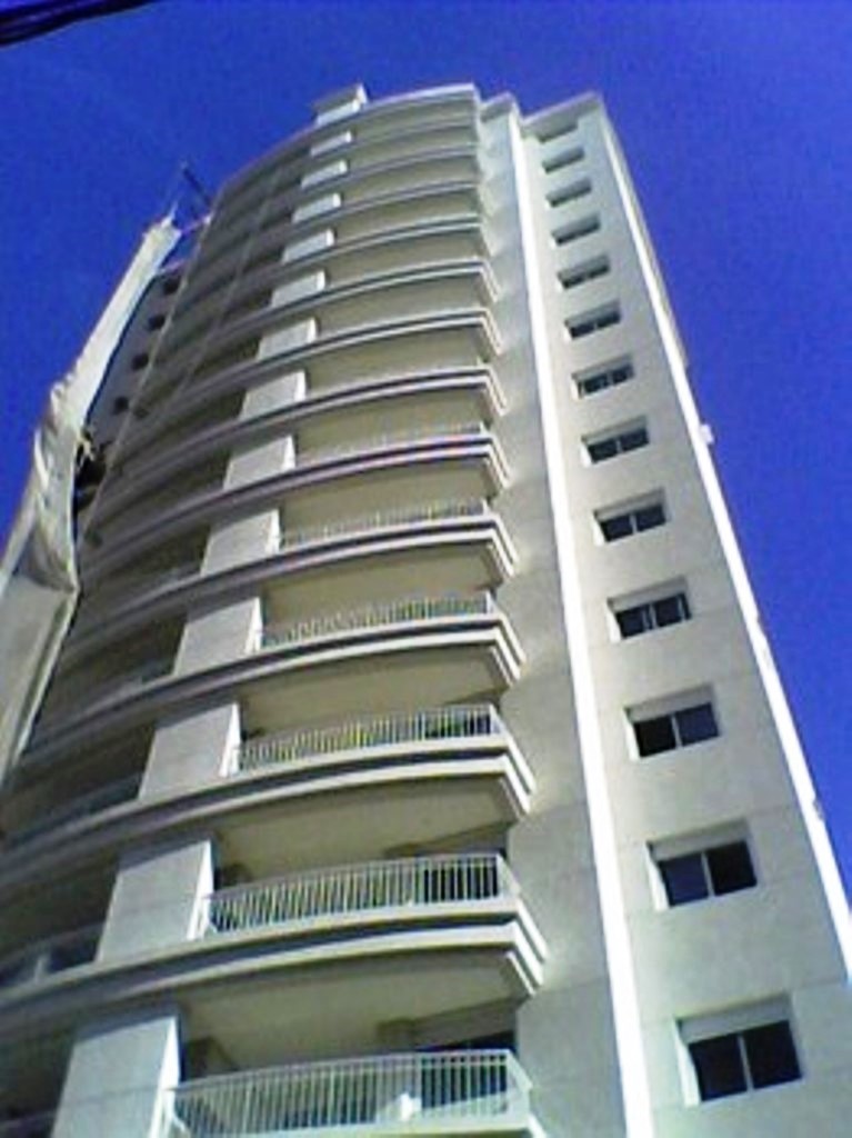 MAESTRO PERDIZES - 04.jpg