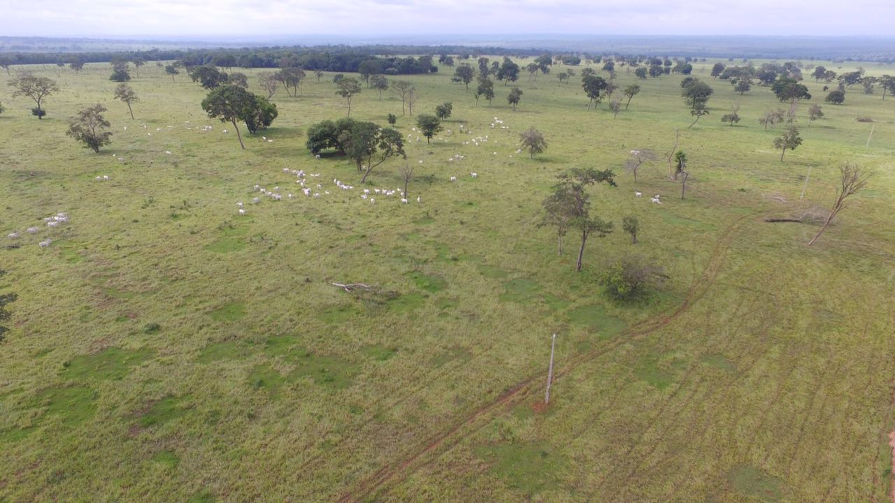 WhatsApp Image 2017-03-21 at 16.13.33.jpeg1.jpeg