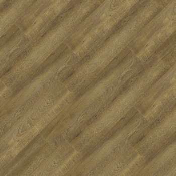 24038661 - Jequitibá.jpg