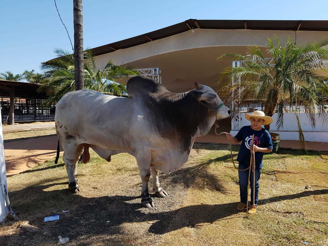 WhatsApp Image 2018-07-20 at 15.56.21.jpeg