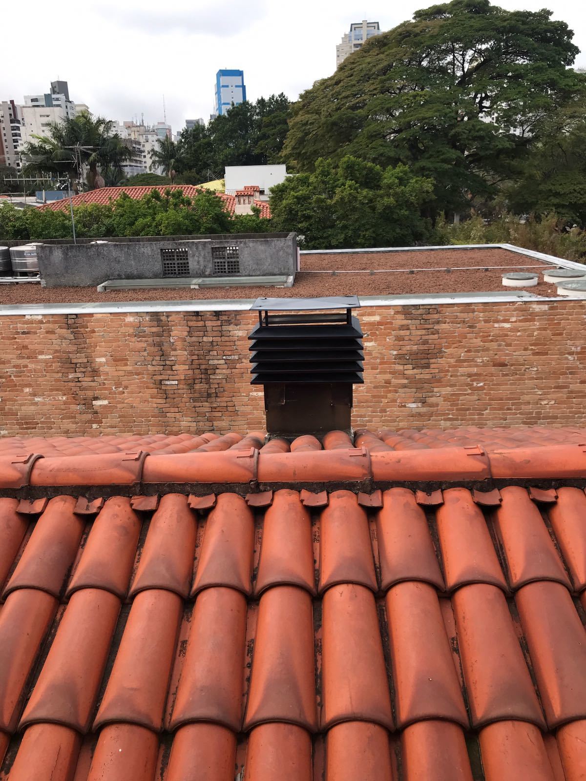 Chapéu aletado 3.jpeg