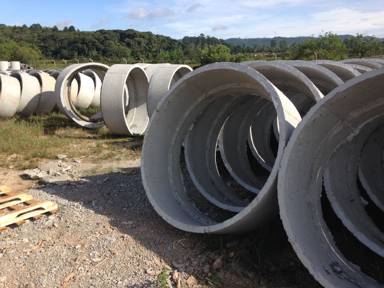 WhatsApp Image 2018-02-12 at 09.28.42.jpeg