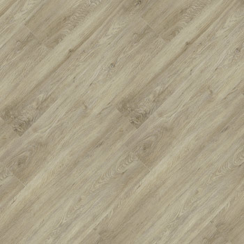 Essence Click - 9329664 Amora.jpg