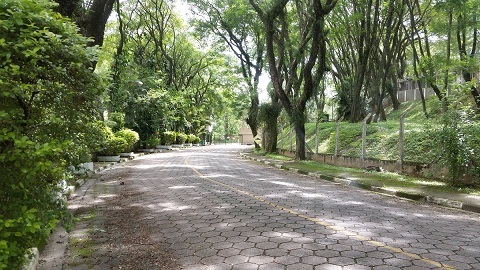 RUA PRINCIPAL CONDOVILLE.jpg