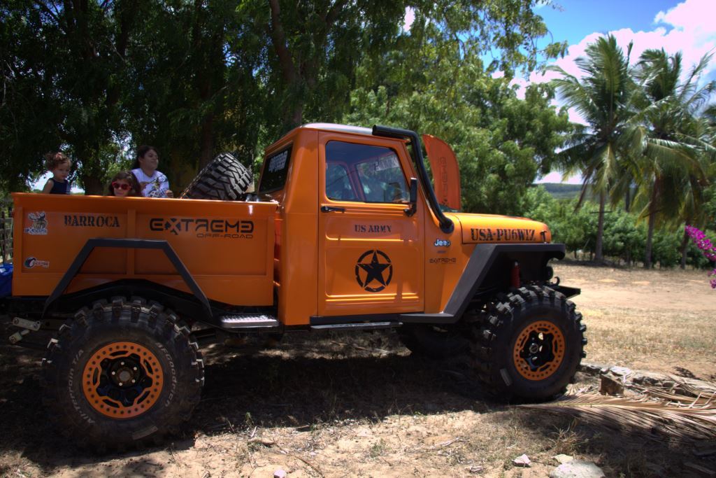 BICUDINHA DE PERFIL.jpg